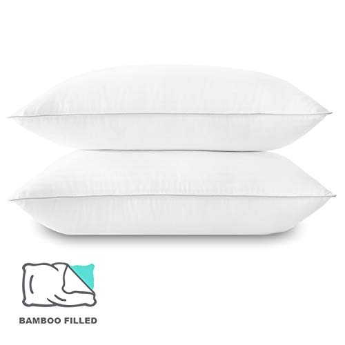 Basic Beyond Down Alternative Queen Size Bed Pillows Primary Past Down Various Queen Measurement Mattress Pillows - 2 Pack Resort Assortment Tremendous Smooth Pillow for Sleeping with Bamboo Supplies Fill, 20x30.