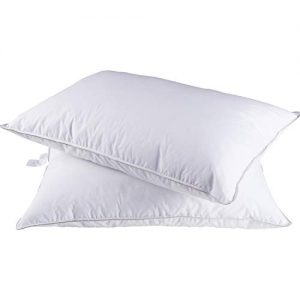 SHEONE 2 Pack Natural Goose Down Feather Pillows for Sleeping 100% Cotton Cover Downproof Bed Pillow, Luxury White Down Pillows Hypoallergenic (King Size)
