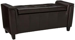 Christopher Knight Home Alden Armed PU Storage Bench, Brown
