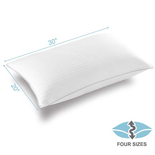 Basic Beyond Down Alternative Queen Size Bed Pillows Primary Past Down Various Queen Measurement Mattress Pillows - 2 Pack Resort Assortment Tremendous Smooth Pillow for Sleeping with Bamboo Supplies Fill, 20x30.