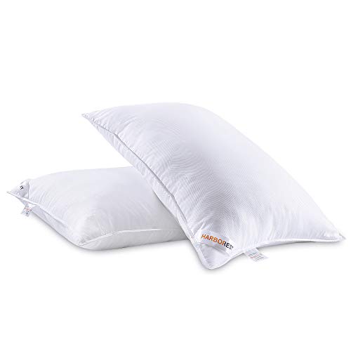 HARBOREST Bed Pillows for Sleeping (2 Pack) HARBOREST Mattress Pillows for Sleeping (2 Pack) - Luxurious Plush Down Various Pillows Good for Aspect and Again Sleeper Resort Pillows, Commonplace/Queen 20 x 26 Inches.