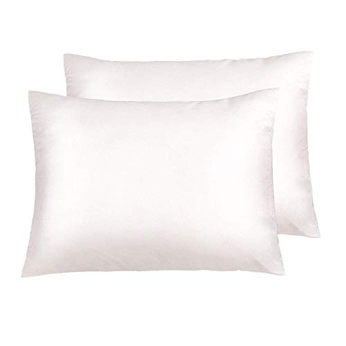 NTBAY Zippered Satin Pillowcases, Super Soft and Luxury Standard Pillow Cases Set of 2, 20 x 26 Inches, Ivory