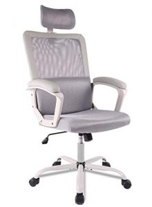 Ergonomic Office Chair Adjustable Headrest Mesh Office Chair