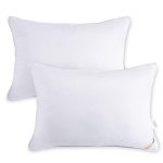HARBOREST Bed Pillows for Sleeping (2 Pack) - Luxury Plush Down Alternative Pillows Good for Side and Back Sleeper Hotel Pillows, Standard/Queen 20 x 26 Inches