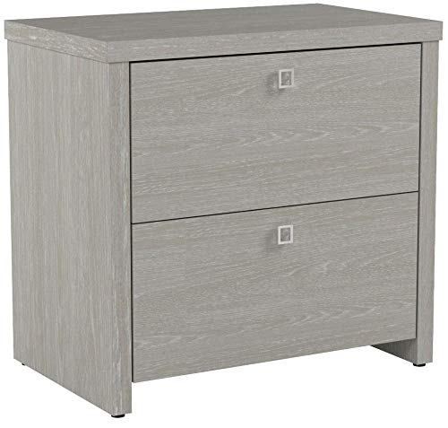 Bush Business Furniture Office by kathy ireland Bush Business Furniture Office by kathy ireland Echo Lateral File Cabinet, Gray Sand.