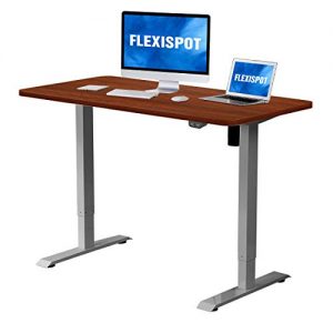 Flexispot Electric Height Adjustable Desk Sit Stand Desk, 48 x 30 Inches Whole-Piece Desk Board Home Office Table Stand up Desk(Gray Frame + 48 in Mahogany Top)