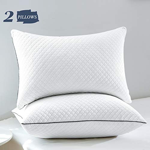 GOHOME Bed Pillows for Sleeping 2 Pack, Luxury Down Alternative Pillows with Soft Velvet Fabric, Full Size Sleeping Pillows for Side and Back Sleeper, 20"x30" Queen Size