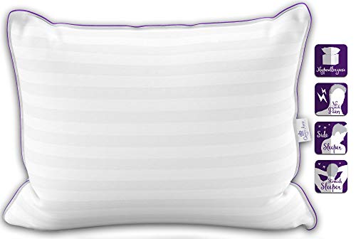 Set of Two Queen Size Pillows for Sleeping, Bed Pillows 2 Pack Set of Two Queen Measurement Pillows for Sleeping, Mattress Pillows 2 Pack - Luxurious Resort High quality Pillow, Down Various Hypoallergenic Pillows for Again, Abdomen, and Aspect Sleepers (Queen Measurement Delicate 20”x30”).