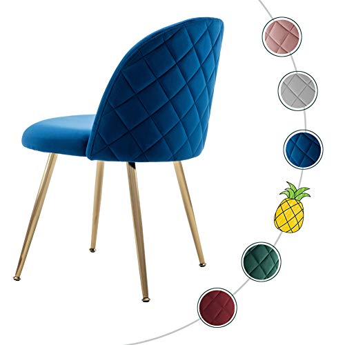 Tufted Dining Chairs, Velvet Upholstered Accent Chairs with Gold Plating Metal Legs Tufted Dining Chairs, Velvet Upholstered Accent Chairs with Gold Plating Metal Legs Blue&amp;Brass for Living Room/Dinning Room/Kitchen/Vanity/Patio, Set of 2 (Cobalt/Royal Blue).