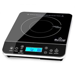 Duxtop Portable Induction Cooktop, Countertop Burner Induction Hot Plate with LCD Sensor Touch 1800 Watts, Silver 9600LS