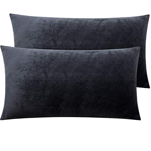 NTBAY Zippered Velvet King Pillowcases, 2 Pack Super Soft and Cozy Luxury Solid Color Pillow Cases, 20 x 36 Inches, Charcoal Grey
