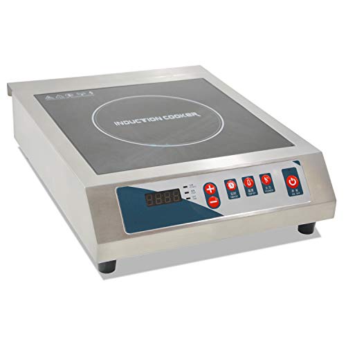 Professional Portable Induction Cooktop, 3500W Countertop Induction Cooker with Digital Temperature Display