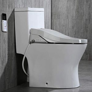 Woodbridge Luxury, Elongated One Piece Toilet with Advanced Bidet Seat, T-0022, White
