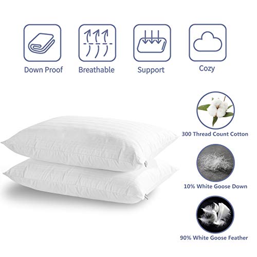 downluxe Goose Feather Down Pillow - Set of 2 Bed Pillows downluxe Goose Feather Down Pillow - Set of two Mattress Pillows for Sleeping with Premium 100% Cotton Shell,Queen.