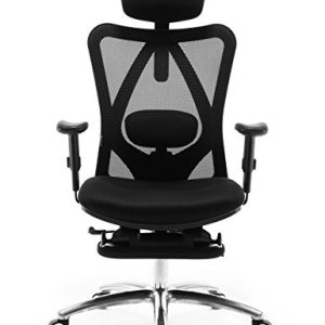 Sihoo Ergonomics Office Chair Recliner Chair,Computer Chair Desk Chair, Adjustable Headrests Chair Backrest and Armrest's Mesh Chair (Black)