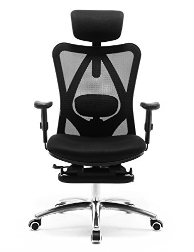 Sihoo Ergonomics Office Chair Recliner Chair,Computer Chair Desk Chair, Adjustable Headrests Chair Backrest and Armrest's Mesh Chair (Black)