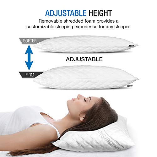 Dream Rite Shredded Hypoallergenic Memory Foam Pillow Dream Ceremony Shredded Hypoallergenic Reminiscence Foam Pillow WonderSleep Sequence Luxurious Adjustable Loft Dwelling Pillow Lodge Assortment Grade Washable Detachable Cooling Bamboo Derived Rayon Cowl- Queen 1 Pack.