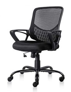 Ergonomic Office Chair Lumbar Support Mesh Chair Computer Desk Task Chair with Armrests