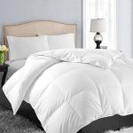 EASELAND All Season Queen Size Soft Quilted Down Alternative Comforter Hotel Collection Reversible Duvet Insert with Corner Tabs,Winter Warm Fluffy Hypoallergenic,White,88 by 88 Inches