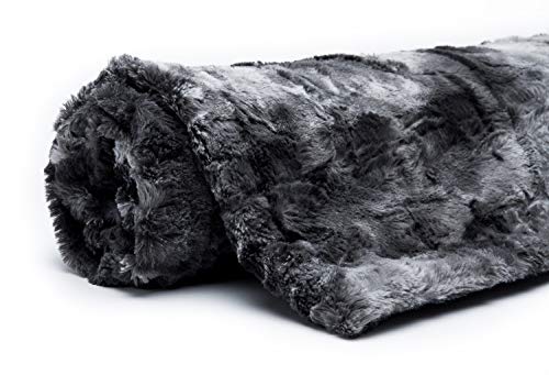 Chanasya Fuzzy Faux Fur Throw Blanket - Soft Light Weight Blanket Chanasya Fuzzy Fake Fur Throw Blanket - Comfortable Mild Weight Blanket for Mattress Sofa and Dwelling Room Appropriate for Fall Winter and Spring (60x70 Inches) Grey.