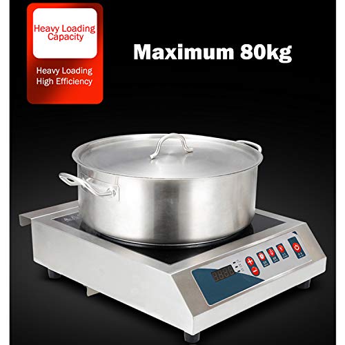 Professional Portable Induction Cooktop Skilled Transportable Induction Cooktop, 3500W Countertop Induction Cooker with Digital Temperature Show.