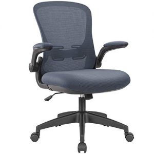 Devoko Office Desk Chair Ergonomic Mesh Chair Lumbar Support with Flip-up Arms and Adjustable Height (Grey)