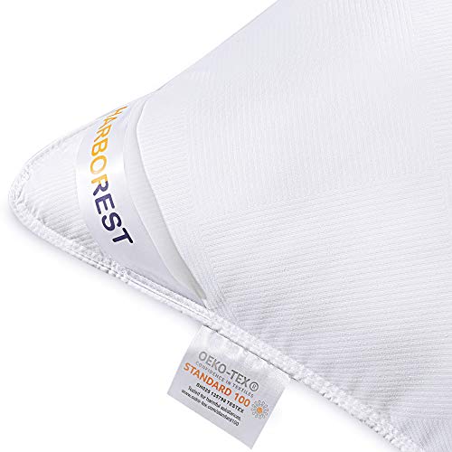 HARBOREST Bed Pillows for Sleeping (2 Pack) HARBOREST Mattress Pillows for Sleeping (2 Pack) - Luxurious Plush Down Various Pillows Good for Aspect and Again Sleeper Resort Pillows, Commonplace/Queen 20 x 26 Inches.