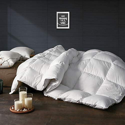 APSMILE All Season Goose Down Comforter - Ultra-Soft Egyptian Cotton, 750 Fill Power 47 Oz Quilted Fluffy Medium Warmth Duvet Insert (Full/Queen, Solid White)