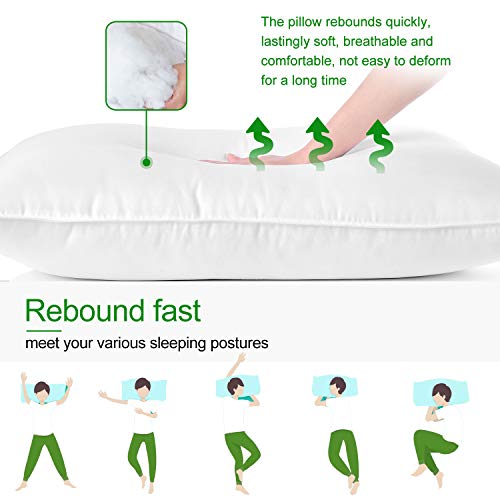 jzs Down Alternative (2 Pack) Luxury Bed Pillows for Stomach jzs Down Various (2 Pack) Luxurious Mattress Pillows for Abdomen,Again and Aspect Sleepers, Comfortable Density, Commonplace.