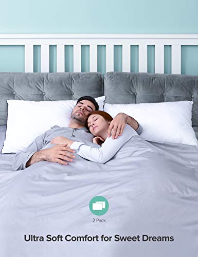Sable Queen Pillows, 2 Pack Hotel Bed Pillow Sable Queen Pillows, 2 Pack Lodge Mattress Pillow with Adjustable Tremendous Comfortable Plush Fiber Fill and Cotton Pillowcase, Machine Washable, Reduction for Neck Ache, Good for Facet or Again Sleeper, 30"×20”.