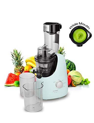COMFEE' BPA Free Masticating Juicer Extractor with Ice Cream Maker Function. 3.4inch Large Chute. 55RPM Slow Cold Press Masticating and Grinding. High Yield.Quiet Motor. Reverse Function. Mint Green