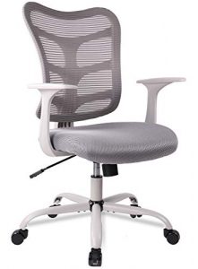 Ergonomic Office Chair Mid Back Mesh Computer Desk Swivel Task Chair with Armrests, Dove Grey