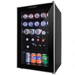 Northair 24 Bottle Wine Beer Cooler Compressor Refrigeration, Under Counter Wine Cellar with LCD Temperature Control, Double-layered Glass Door, Quiet Operation - perfect for home/business/dorm room