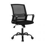 Oak Leaf Mid-Back Big Ergonomic Office Lumbar Support Mesh, Computer Desk Task Chair with Armrests (Black)