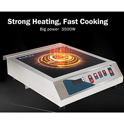 Professional Portable Induction Cooktop Skilled Transportable Induction Cooktop, 3500W Countertop Induction Cooker with Digital Temperature Show.