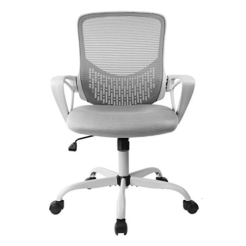 SMUGDESK Ergonomic Office Lumbar Support Mesh Computer Desk Task Chair with Armrests, Gray