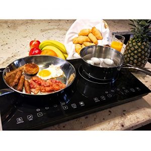 Evergreen Home 1800W Double Digital Induction cooker Cooktop | Portable Countertop Burner-Easy To Clean
