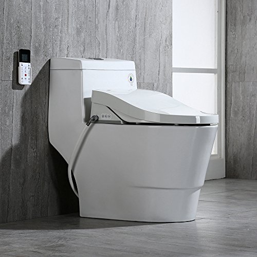 WoodBridge T-0008 One Piece Toilet, Elongated with Advanced Bidet - Smart Toilet Seat with Temperature Control and Air Dryer