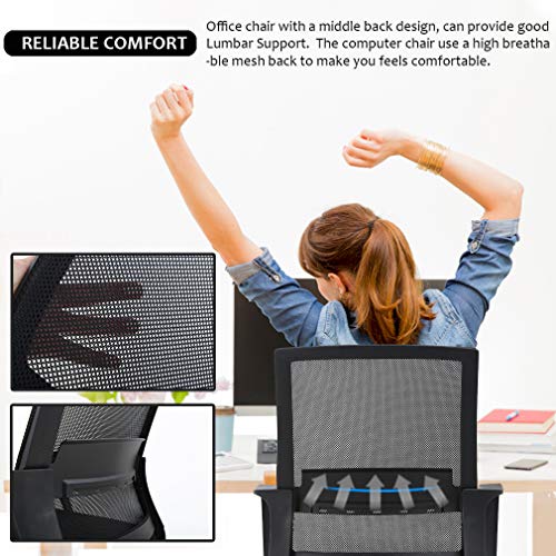 Home Office Chair Ergonomic Desk Chair Swivel Rolling Computer Chair Residence Workplace Chair Ergonomic Desk Chair Swivel Rolling Pc Chair Government Lumbar Help Job Mesh Chair Adjustable Stool for Ladies Males (Black).