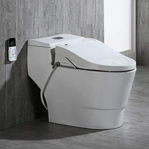Woodbridge White Luxury, Elongated One Piece Advanced Bidet, Smart Toilet Seat with Temperature Controlled Wash Functions and Air Dryer T-0737