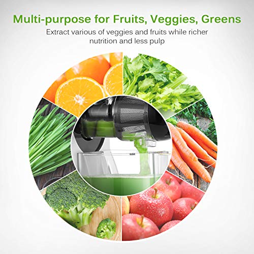 Juicer Machines, Homever Slow Masticating Juicer Extractor Easy to Clean Juicer Machines, Homever Gradual Masticating Juicer Extractor Simple to Clear, Chilly Press Juicer for All Fruit and Vegetable, BPA-Free, Quiet Motor and Reverse Operate with Juice Jug &amp; Brush, Silver.