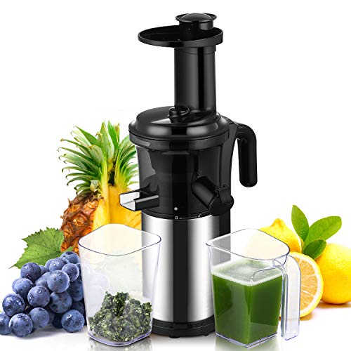 Slow Masticating Juicer Easy to Clean Geek Chef Cold Press Juicer with Quiet Motor and Reverse Function, Compact Design Juicer Extractor for All Fruits and Veggies (Silver)