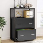 Tribesigns 2 Drawer Lateral File Cabinet with Lock, Letter/Legal / A4 Size, Large Modern Filing Cabinet Printer Stand with Metal Wire Open Storage Shelves for Home Office (Black)
