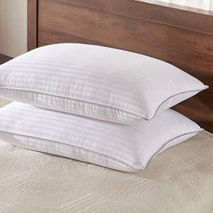 Basic Beyond Down Alternative Queen Size Bed Pillows - 2 Pack Hotel Collection Super Soft Pillow for Sleeping with Bamboo Materials Fill, 20x30