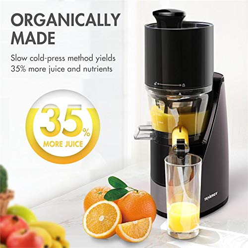 Tenergy Masticating Juicer, Anti-Oxidation Slow Speed Cold Press Juicer Tenergy Masticating Juicer, Anti-Oxidation Sluggish Pace Chilly Press Juicer, Excessive Nutrient Contemporary Vegetable and Fruit Juice Extractor, Straightforward to Clear Juicer with Jug and Brush.