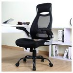 BERLMAN Ergonomic High Back Mesh Office Chair with Adjustable Armrest Desk Chair Computer Chair (Black Plus)