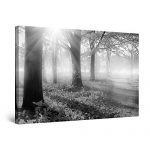 Startonight Canvas Wall Art Black and White Abstract Sunrise Morning Light Trees Nature Landscape, Painting 32 x 48 Inches