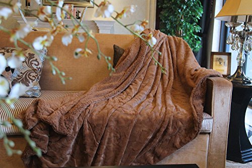 DaDa Faux Fur Throw Blanket – Deep Brown Soft Pile Backed DaDa Fake Fur Throw Blanket – Deep Brown Smooth Pile Backed by Sherpa Fleece – The Humane Method to Deliver The Great thing about Fur into Your Room – No Animals Used – 63x87 inch Twin Mattress.