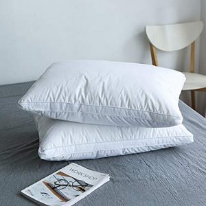 Homtyler Luxury Goose Down Pillow for Sleeping,100% Breathable 1200TC Egyptian Cotton Cover Downproof,Comfortable & Plush Queen Gusseted Pillow(20x28inches,Set of 2)