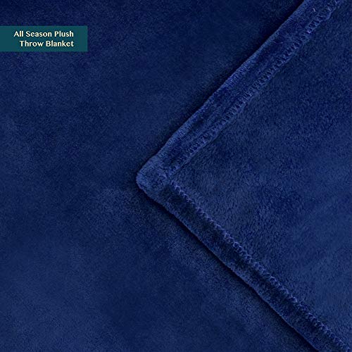 PAVILIA Fleece Blanket King Size | Super Soft, Plush, Luxury Flannel Throw PAVILIA Fleece Blanket King Measurement | Tremendous Comfortable, Plush, Luxurious Flannel Throw | Light-weight Microfiber Blanket for Couch Sofa Mattress (Blue, 90x108 inches).
